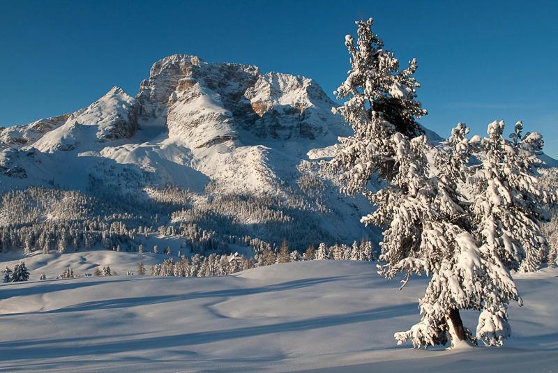 Alpin Natur Hotel Brueckele Prags Exteriör bild